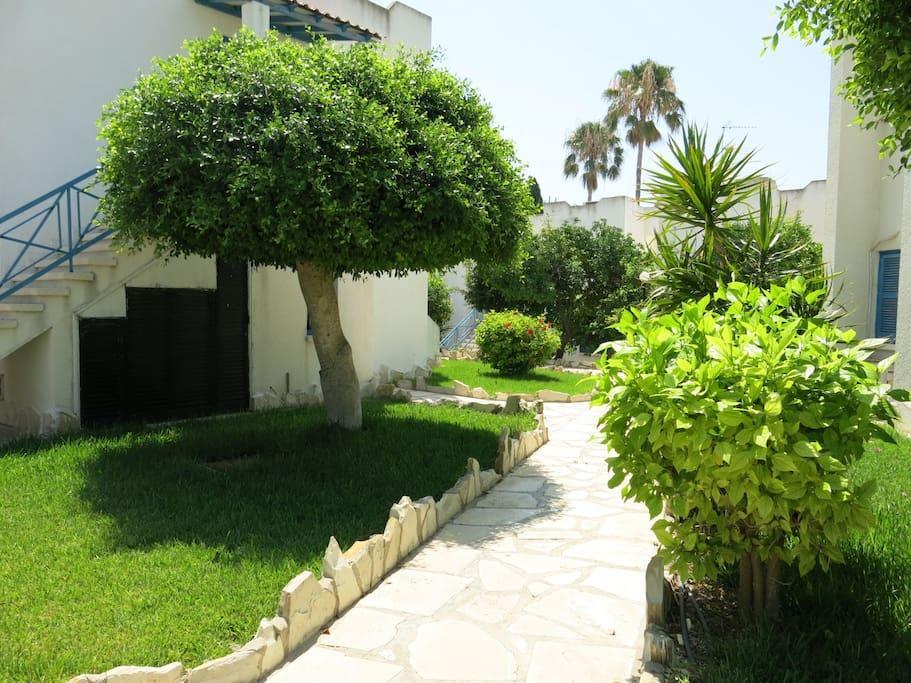 Dhekelia Diamond Apartamento Larnaca Exterior foto